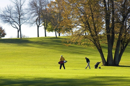 Don’t Let Golf Carts Spoil a good walk